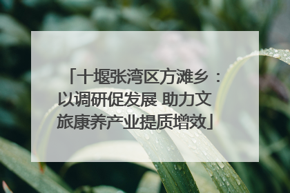 十堰张湾区方滩乡：以调研促发展 助力文旅康养产业提质增效