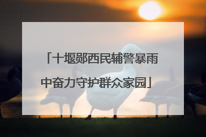 十堰郧西民辅警暴雨中奋力守护群众家园
