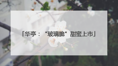华亭：“玻璃脆”甜蜜上市