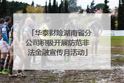华泰财险湖南省分公司积极开展防范非法金融宣传月活动