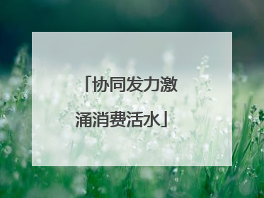 协同发力激涌消费活水
