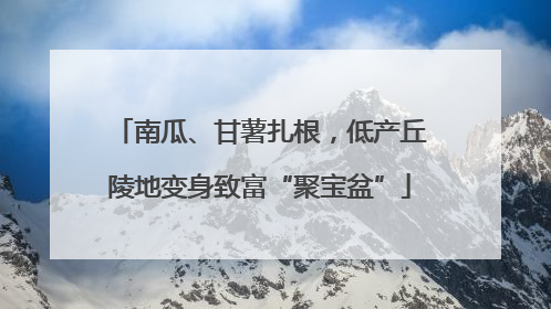 南瓜、甘薯扎根，低产丘陵地变身致富“聚宝盆”