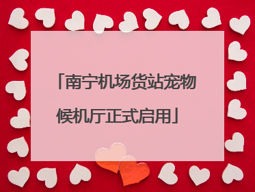 南宁机场货站宠物候机厅正式启用