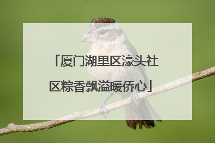 厦门湖里区濠头社区粽香飘溢暖侨心