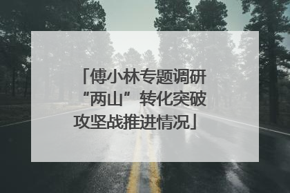 傅小林专题调研“两山”转化突破攻坚战推进情况