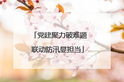 党建聚力破难题 联动防汛显担当