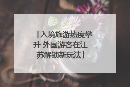 入境旅游热度攀升 外国游客在江苏解锁新玩法