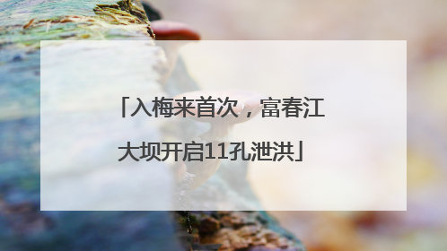 入梅来首次，富春江大坝开启11孔泄洪