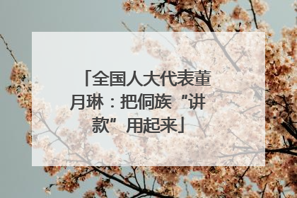 全国人大代表董月琳：把侗族“讲款”用起来
