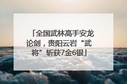 全国武林高手安龙论剑，贵阳云岩“武将”斩获7金6银