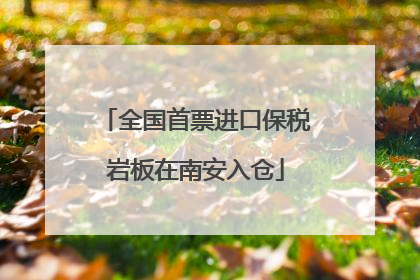 全国首票进口保税岩板在南安入仓