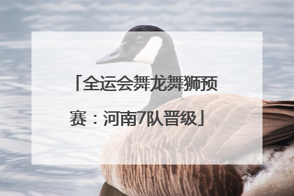 全运会舞龙舞狮预赛：河南7队晋级