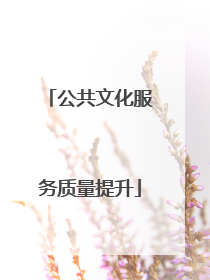 公共文化服务质量提升