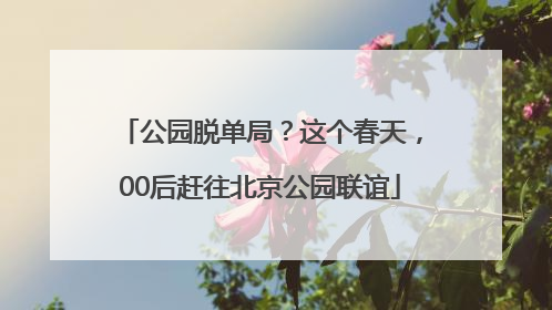 公园脱单局？这个春天，00后赶往北京公园联谊