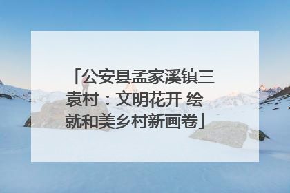 公安县孟家溪镇三袁村：文明花开 绘就和美乡村新画卷