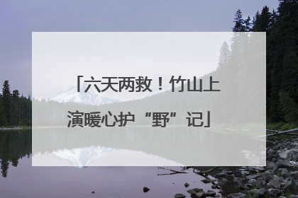 六天两救！竹山上演暖心护“野”记