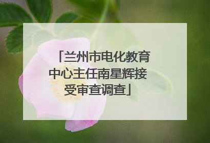 兰州市电化教育中心主任南星辉接受审查调查