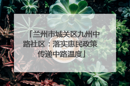 兰州市城关区九州中路社区：落实惠民政策 传递中路温度