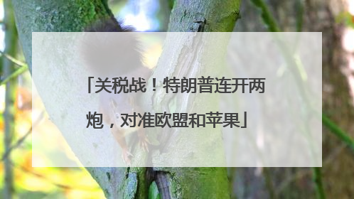关税战！特朗普连开两炮，对准欧盟和苹果