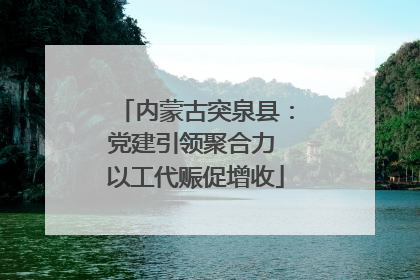 内蒙古突泉县：党建引领聚合力 以工代赈促增收