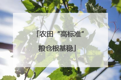 农田“高标准” 粮仓根基稳