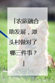 农旅融合助发展，潭头村做对了哪三件事？