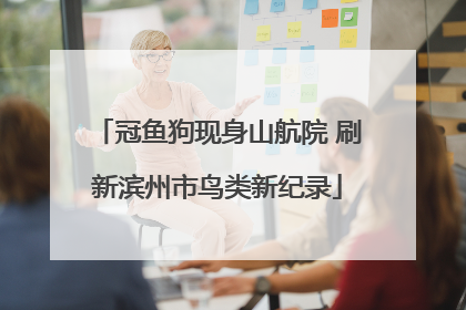 冠鱼狗现身山航院 刷新滨州市鸟类新纪录