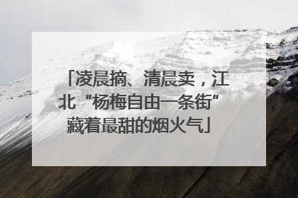 凌晨摘、清晨卖，江北“杨梅自由一条街”藏着最甜的烟火气