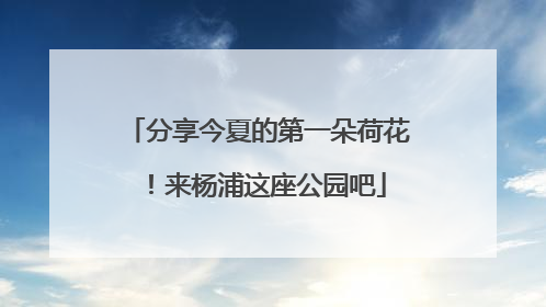分享今夏的第一朵荷花！来杨浦这座公园吧