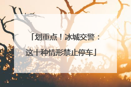 划重点！冰城交警：这十种情形禁止停车