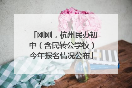 刚刚，杭州民办初中（含民转公学校）今年报名情况公布