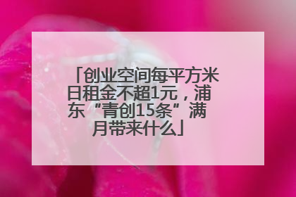 创业空间每平方米日租金不超1元，浦东“青创15条”满月带来什么