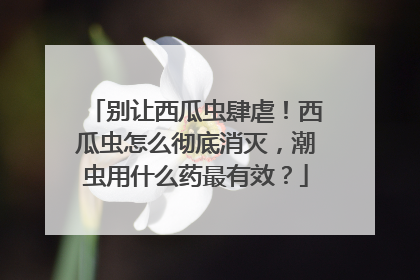 别让西瓜虫肆虐！西瓜虫怎么彻底消灭，潮虫用什么药最有效？