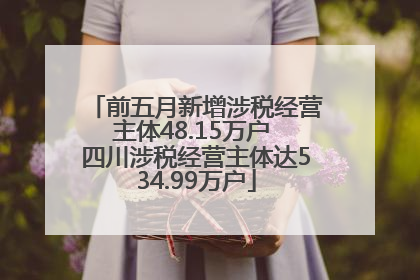 前五月新增涉税经营主体48.15万户 四川涉税经营主体达534.99万户