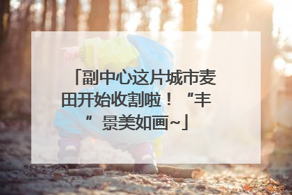 副中心这片城市麦田开始收割啦！“丰”景美如画~