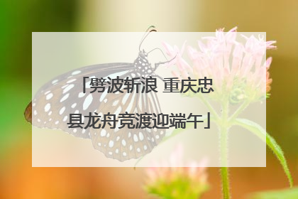 劈波斩浪 重庆忠县龙舟竞渡迎端午