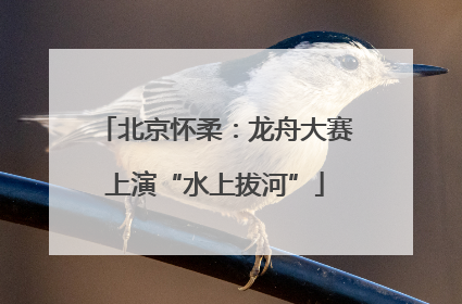 北京怀柔：龙舟大赛上演“水上拔河”