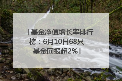 基金净值增长率排行榜：6月10日68只基金回报超2%