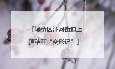 埇桥区汴河街道上演秸秆“变形记”