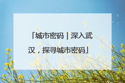 城市密码｜深入武汉，探寻城市密码