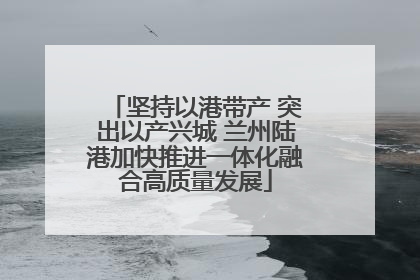坚持以港带产 突出以产兴城 兰州陆港加快推进一体化融合高质量发展