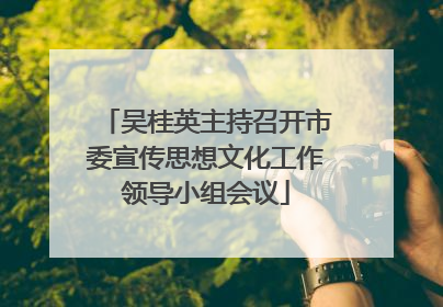 吴桂英主持召开市委宣传思想文化工作领导小组会议