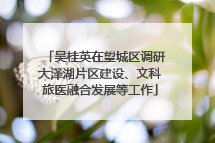 吴桂英在望城区调研大泽湖片区建设、文科旅医融合发展等工作