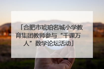 合肥市琥珀名城小学教育集团教师参与“千课万人”数学论坛活动
