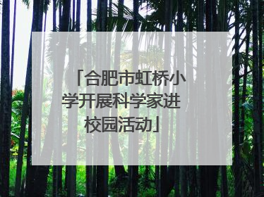 合肥市虹桥小学开展科学家进校园活动