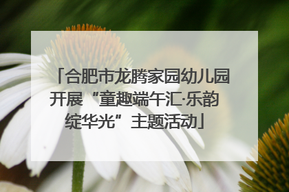 合肥市龙腾家园幼儿园开展“童趣端午汇·乐韵绽华光”主题活动