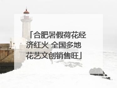 合肥暑假荷花经济红火 全国多地花艺文创销售旺