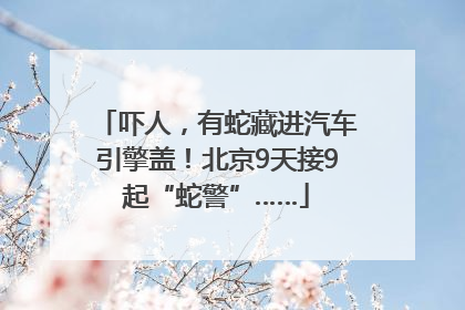 吓人，有蛇藏进汽车引擎盖！北京9天接9起“蛇警”……