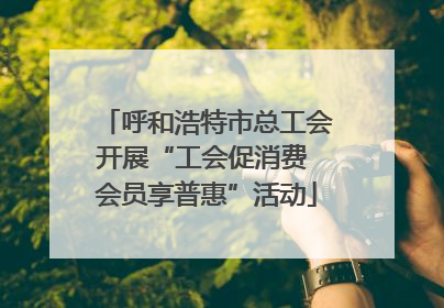 呼和浩特市总工会开展“工会促消费 会员享普惠”活动