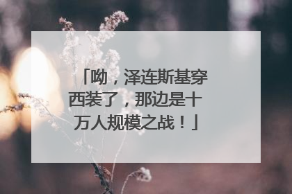呦，泽连斯基穿西装了，那边是十万人规模之战！